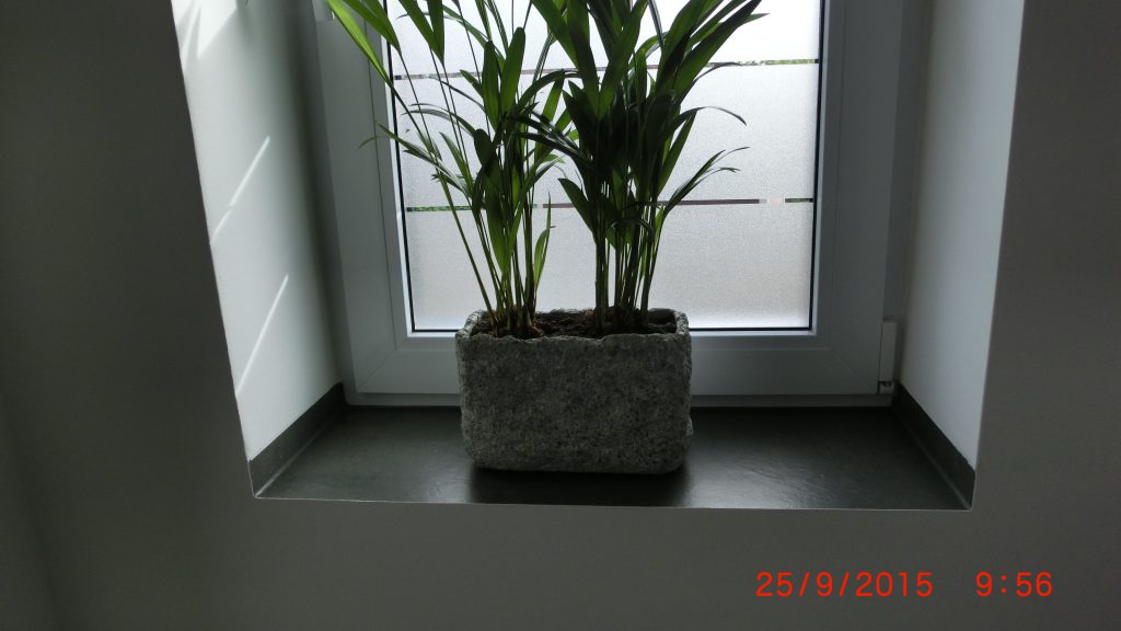 CIMG2887